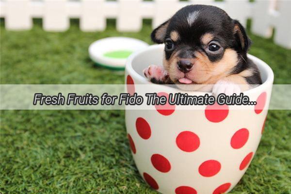 Fresh Fruits for Fido The Ultimate Guide to Safely Nourishing Your Pooch